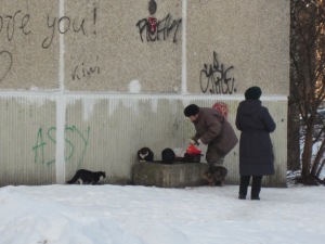 old ladies love to feed the stray cats that are everywhere!